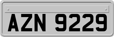 AZN9229