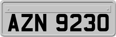AZN9230