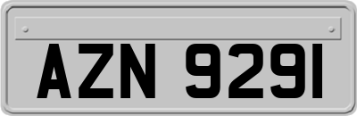 AZN9291