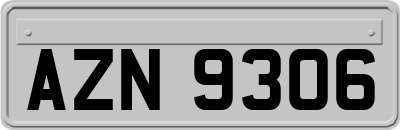 AZN9306