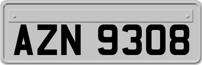 AZN9308