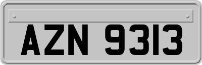 AZN9313