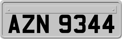 AZN9344