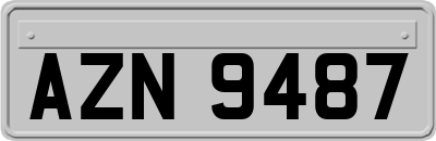 AZN9487