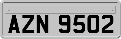 AZN9502
