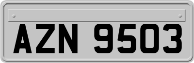 AZN9503