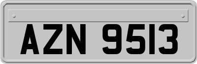 AZN9513