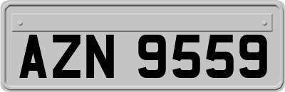 AZN9559