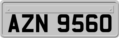 AZN9560
