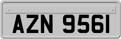 AZN9561