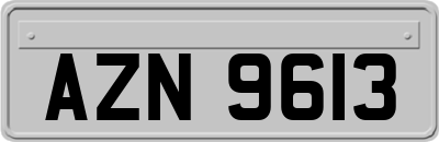 AZN9613