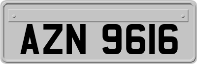 AZN9616