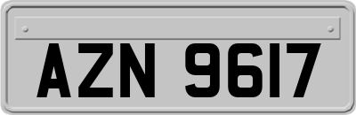 AZN9617