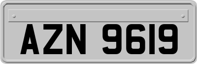 AZN9619
