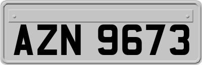 AZN9673