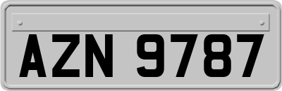 AZN9787