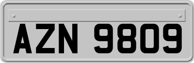 AZN9809