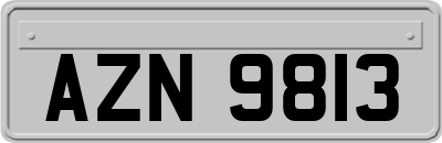 AZN9813