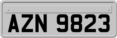 AZN9823