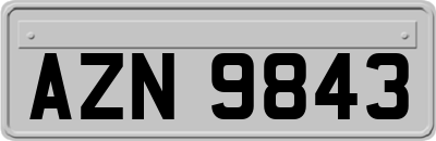 AZN9843