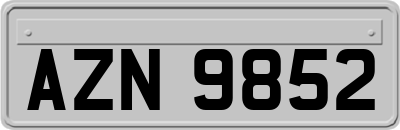 AZN9852