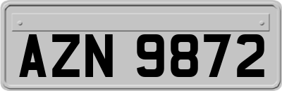 AZN9872