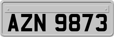 AZN9873