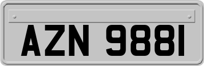 AZN9881