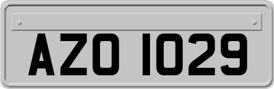 AZO1029