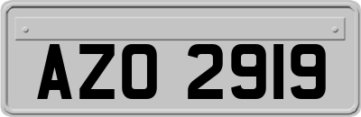 AZO2919
