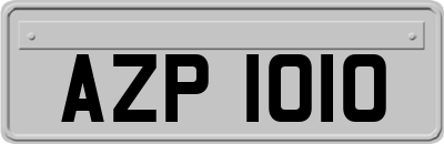 AZP1010