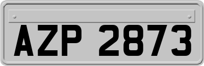 AZP2873