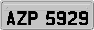 AZP5929