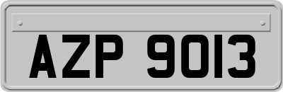AZP9013