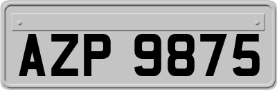 AZP9875
