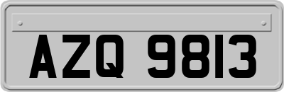 AZQ9813