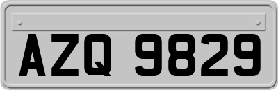 AZQ9829