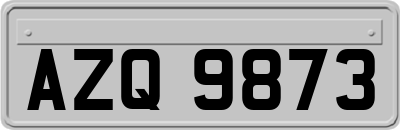 AZQ9873