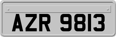AZR9813