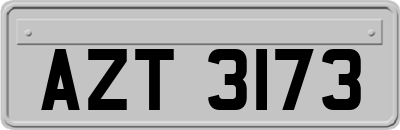 AZT3173