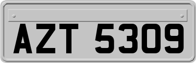 AZT5309