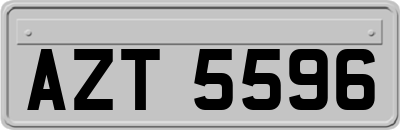 AZT5596