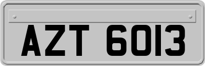AZT6013