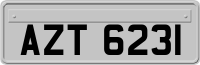 AZT6231