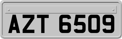 AZT6509