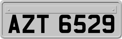 AZT6529