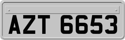 AZT6653