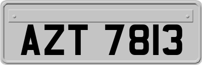AZT7813
