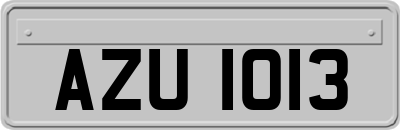 AZU1013