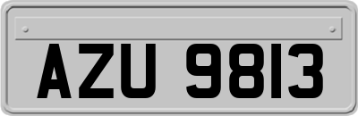 AZU9813